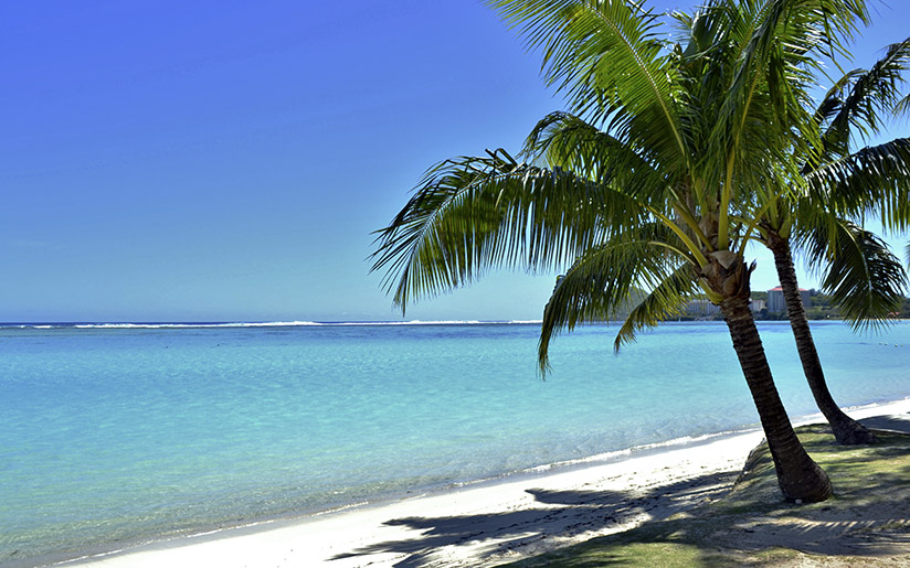 Photo of a tropical beach and palm trees in Hawaii