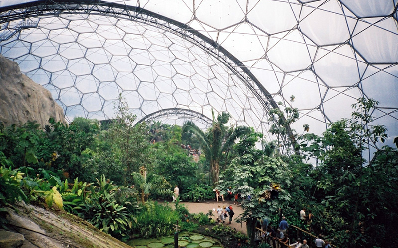 Photo of the interior of the biomes at The Eden Project in Cornwall