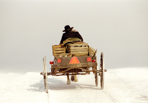 Amish Photo.jpg